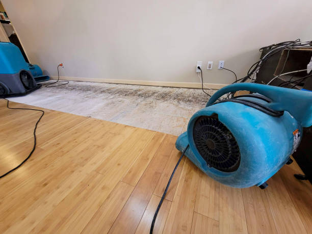 Professional Flood Damage Cleanup technician working in Jordan, NY